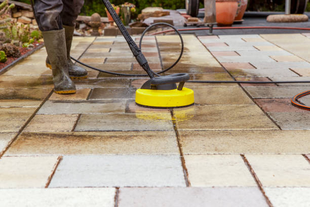 Best Animal Enclosure Cleaning  in Georgetown, IL